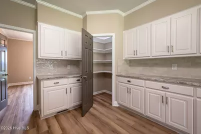 1187 Herndon Road, Waynesboro, GA 30830 - Photo 12