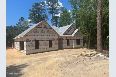54 N Shamrock Drive, Jackson Springs, NC 27281 - Photo 2