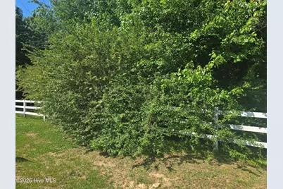 [Address not provided], Nashville, NC 27856 - Photo 4