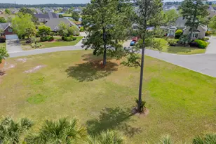 1007 Natural Springs Way, Leland, NC 28451 - Photo 6