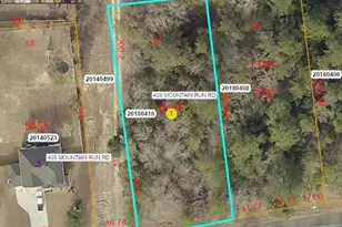 409 Mountain Run Rd, West End, NC 27376 - Photo 38