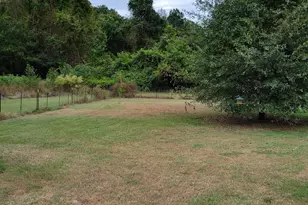 3729 Bryan Hardy Rd, La Grange, NC 28551 - Photo 24