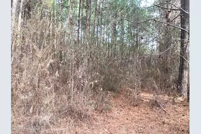 3001 George Owen Road, Fayetteville, NC 28306 - Photo 10