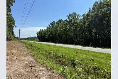 Lot 6 Near 4102 Swamp Fox Highway W, Tabor City, NC 28463 - Photo 2