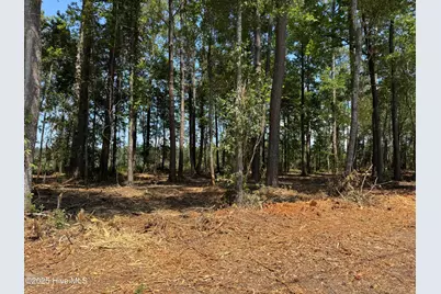 Lot 6 Near 4102 Swamp Fox Highway W, Tabor City, NC 28463 - Photo 4