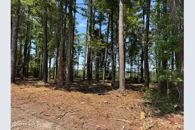 Lot 6 Near 4102 Swamp Fox Highway W, Tabor City, NC 28463 - Photo 6