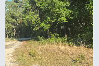 114 Green Cedar Drive, Hamlet, NC 28345 - Photo 1