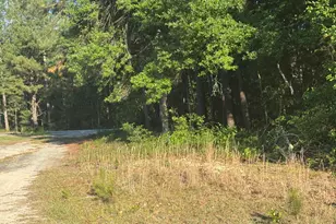 114 Green Cedar Dr, Hamlet, NC 28345 - Photo 1