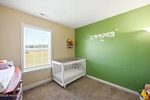 380 Swinson Rd, Maple Hill, NC 28454 - Photo 24