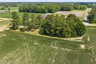 1273 Roseland Rd, Chadbourn, NC 28431 - Photo 40