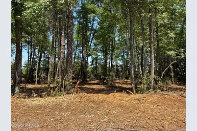 Lot 4 Near 4102 Swamp Fox (Lot 4) Highway W, Tabor City, NC 28463 - Photo 1