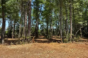 Lot 4 Near 4102 Swamp Fox (Lot 4) Hwy W, Tabor City, NC 28463 - Photo 1