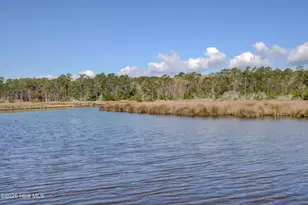 228 Egret Point Dr, Sneads Ferry, NC 28460 - Photo 70