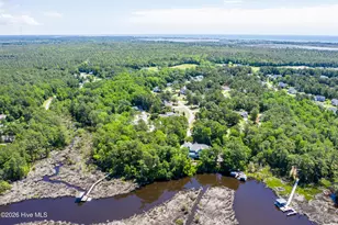228 Egret Point Dr, Sneads Ferry, NC 28460 - Photo 58