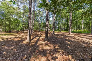 539 Long Meadow Dr SE, Bolivia, NC 28422 - Photo 54