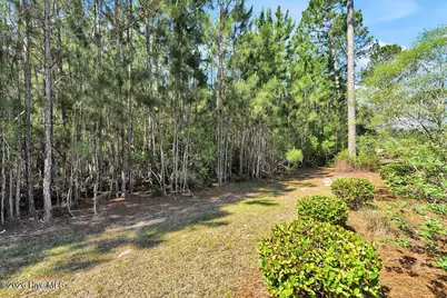 1347 Still Bluff Lane, Leland, NC 28451 - Photo 46