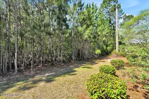 1347 Still Bluff Ln, Leland, NC 28451 - Photo 46