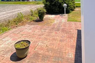 1494 Jackson Swamp Rd, Bath, NC 27808 - Photo 52