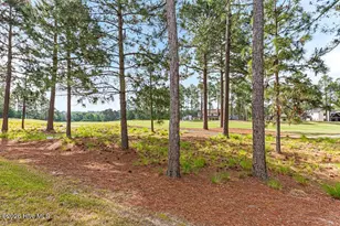 109 Essex Pl, Southern Pines, NC 28387 - Photo 32