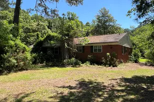 9343 North Carolina 131 Hwy, Bladenboro, NC 28320 - Photo 1