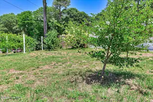 3001 Jasmine Pl, Augusta, GA 30906 - Photo 44
