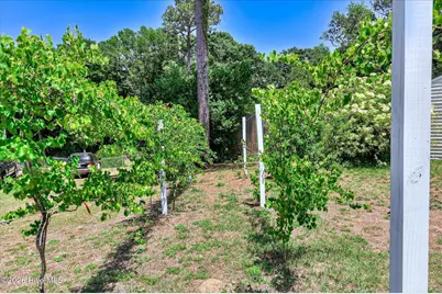 3001 Jasmine Place, Augusta, GA 30906 - Photo 46