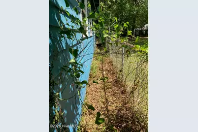 303 E 11th Street, Washington, NC 27889 - Photo 70