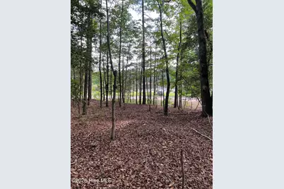 Lot 84 Appaloosa Lake Drive, Carthage, NC 28327 - Photo 10