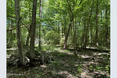 Sr 1323 Dowd Dairy Road, White Oak, NC 28399 - Photo 16