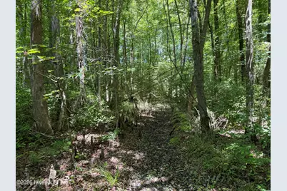 Sr 1323 Dowd Dairy Road, White Oak, NC 28399 - Photo 14