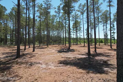 Sr 1323 Dowd Dairy Road, White Oak, NC 28399 - Photo 12