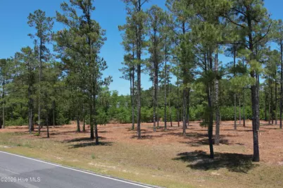 Sr 1323 Dowd Dairy Road, White Oak, NC 28399 - Photo 6