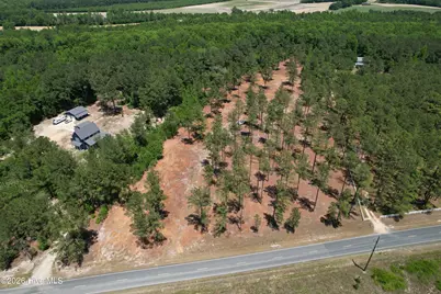 Sr 1323 Dowd Dairy Road, White Oak, NC 28399 - Photo 2