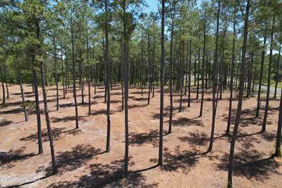 Sr 1323 Dowd Dairy Road, White Oak, NC 28399 - Photo 10