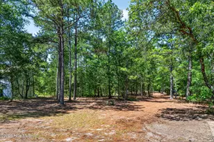 21549 NC-210, Ivanhoe, NC 28447 - Photo 52