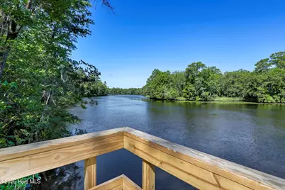 135 Darel Street, Rocky Point, NC 28457 - Photo 70