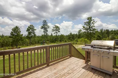 160 Pinelands Vista, Jackson Springs, NC 27281 - Photo 54
