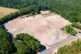 690 Live Oak Methodist Church Rd, White Oak, NC 28399 - Photo 36