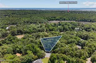 000 Wedge Rd, Hampstead, NC 28443 - Photo 1
