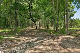451 Governors Rd SE, Winnabow, NC 28479 - Photo 52