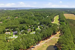 125 Thames Ln, Chocowinity, NC 27817 - Photo 44