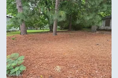 1115 Hargrove Street, Rocky Mount, NC 27801 - Photo 2