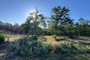 4441 Etterle Rd, Blythe, GA 30805 - Photo 20