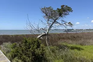 448 Seashore Dr, Atlantic, NC 28511 - Photo 82