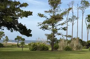 448 Seashore Dr, Atlantic, NC 28511 - Photo 92
