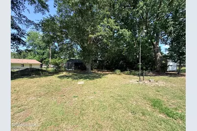 203 Fox Drive, Dudley, NC 28333 - Photo 4