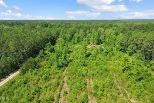 5840 Green Swamp Rd NW, Ash, NC 28420 - Photo 60
