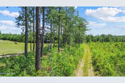 5840 Green Swamp Road NW, Ash, NC 28420 - Photo 30