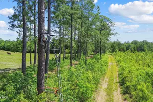 5840 Green Swamp Rd NW, Ash, NC 28420 - Photo 30