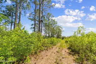 5840 Green Swamp Rd NW, Ash, NC 28420 - Photo 32
